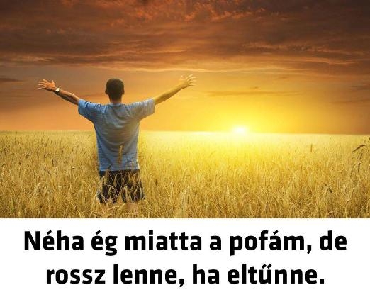 A jó barát olyan, mint a napsütés...