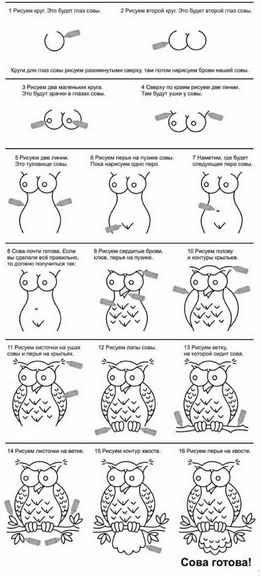 Hogyan rajzoljunk baglyot...