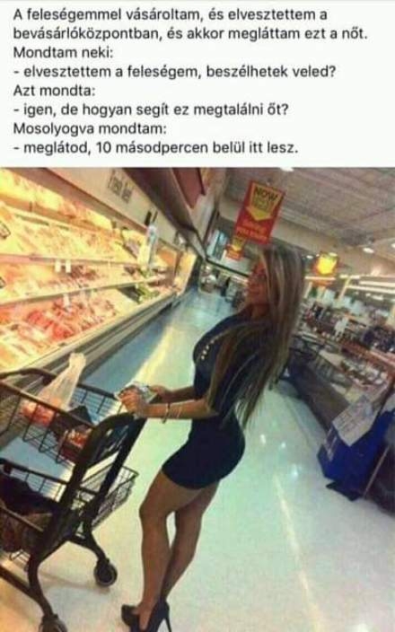 Az okos férj módszere, az elveszett asszony előkerítésére