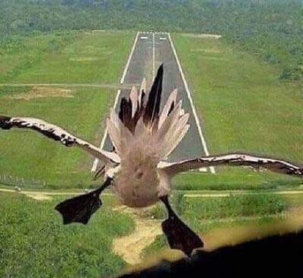 Ezt a leszállópályát még telifosom, oszt mára ennyi vót a meló