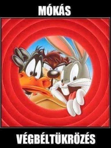 Szombati zsibbasztó