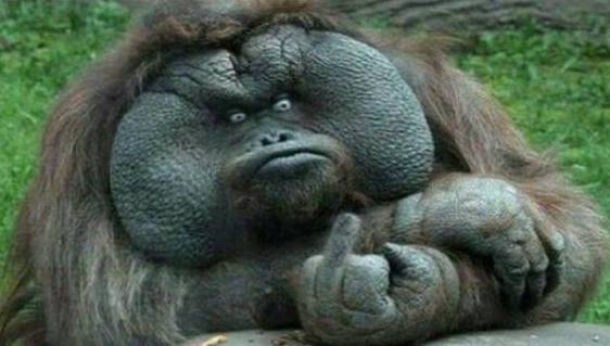 Régen voltak barátaim...