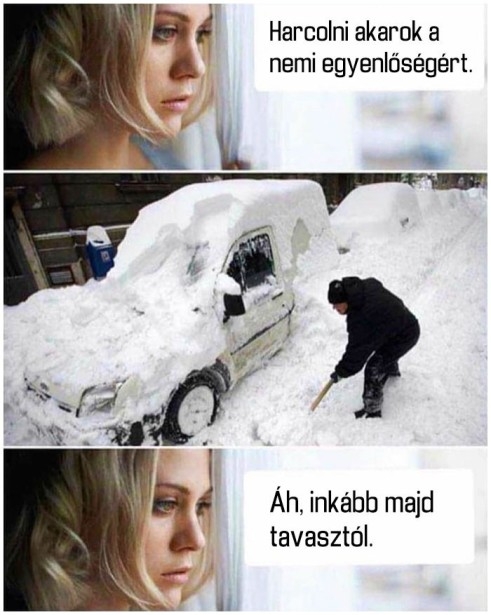 Meggondolta magát