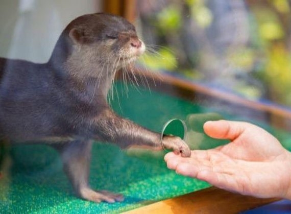 Amikor antiszociális vagy, de azért...