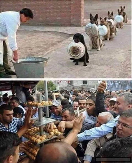 Oktatás - Fontos dolog