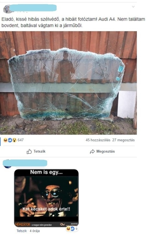 Fészbúk gyöngyszem