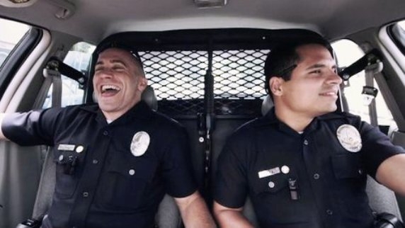 Haver, mi ez a folyamatos nyávogás?