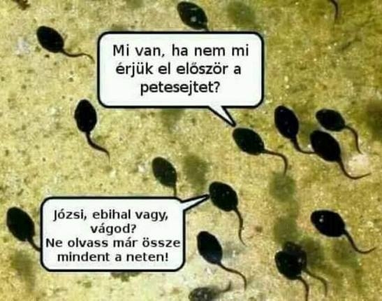 Pénteki zsibbasztó