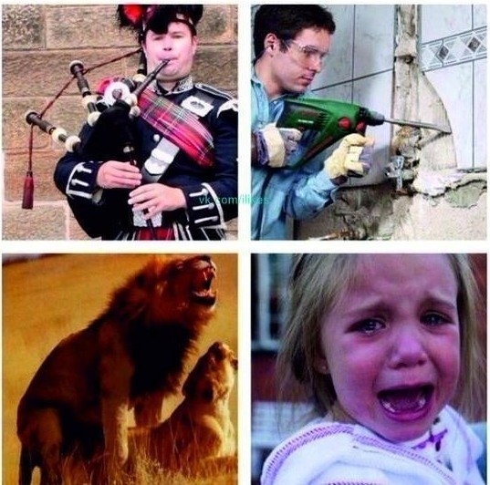 Négyféle szomszéd létezik