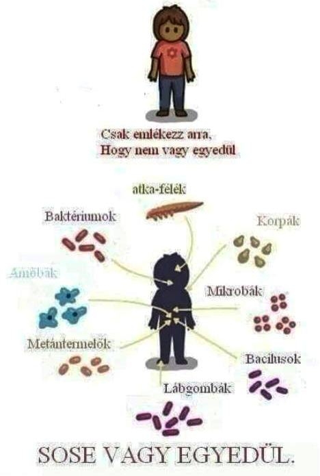 Magányosnak érzed magad?