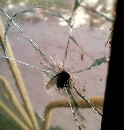 Mert megy, mint a hülye!