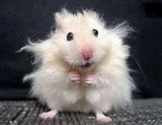 Picit stresszes ez a hetem...