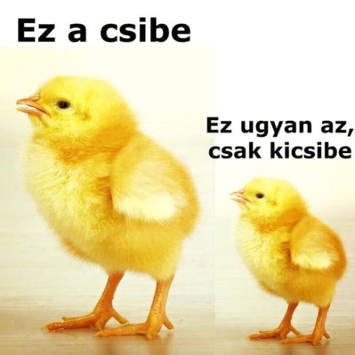 Hét eleji zsibbasztó