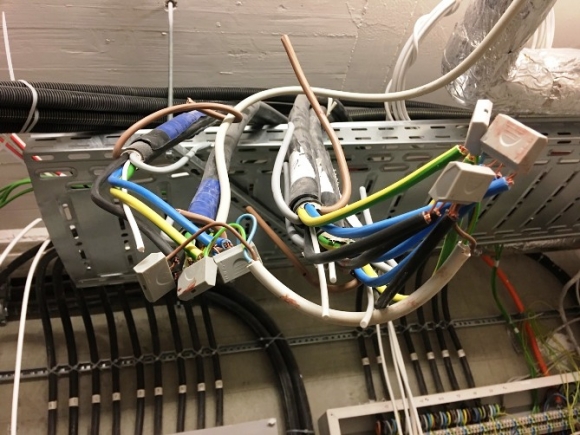 A szakemberek köztünk élnek 