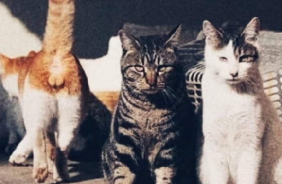 Valaki mindig belerondít a családi fotókba