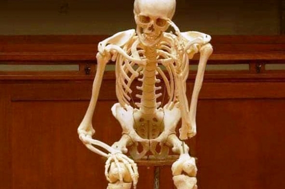 Amikor arra vársz, hogy elfogyjanak a hülyék a világból