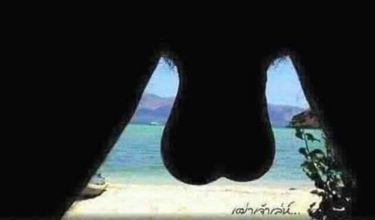 Amikor a pasid nem hagy nyugodtan napozni