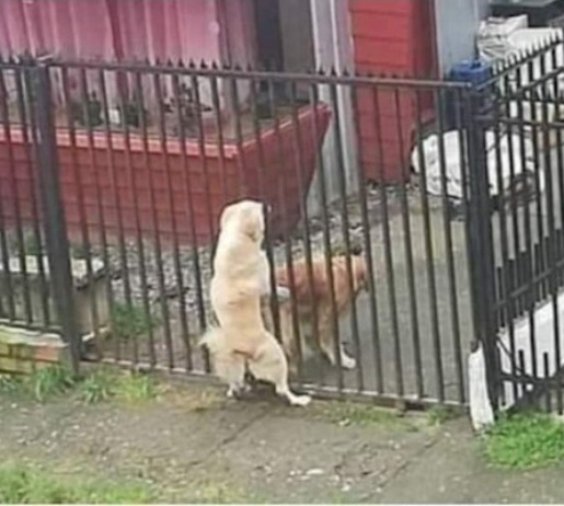 Az életben minden adódó jó lehetőséget meg kell ragadni