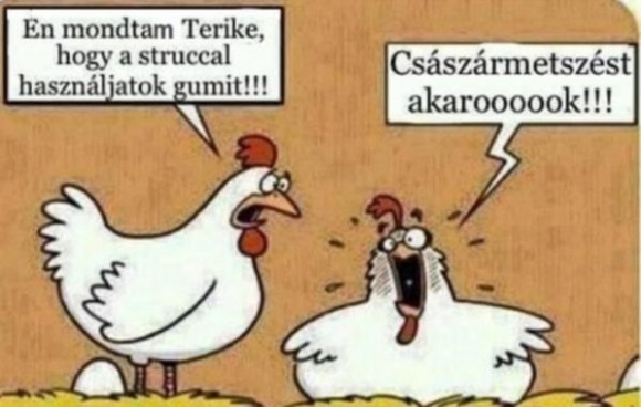 Pedig figyelmeztették előre