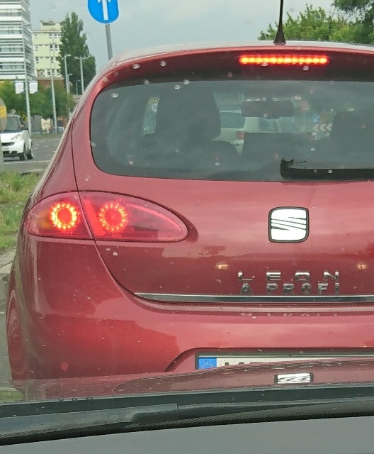 Gondolom nagy Jean Reno rajongó a tulaj