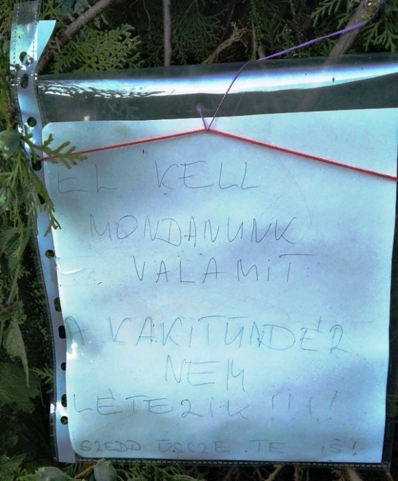 Falun is probléma az út szélén felejtett kutyagumi