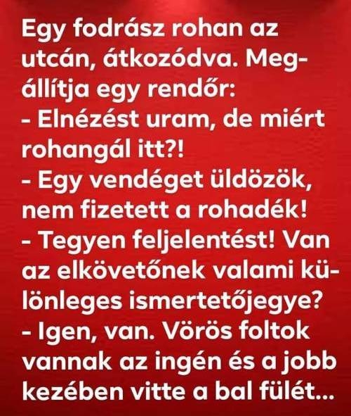 Egy bizarr történet