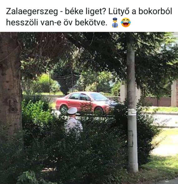 Zalaegerszeg, Lütyő a bokorban...
