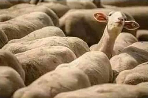 Amikor külföldön nyaralsz, és meghallasz egy magyar káromkodást 🙂