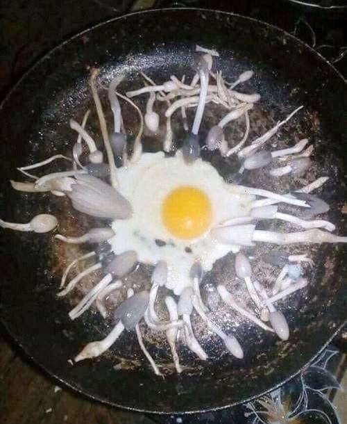 Amikor egy nő egyértelmű célzást ad a pasijának