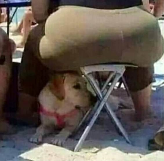 Szeretnék olyan erős lenni, mint ez a szék...