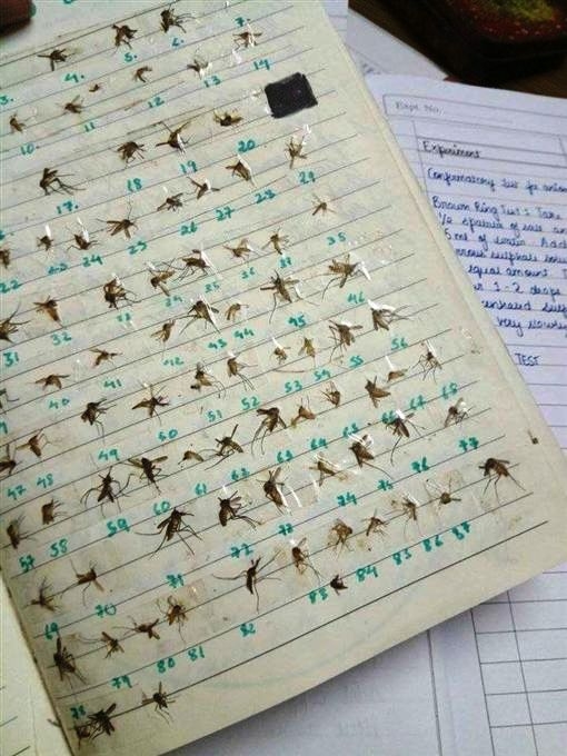 Amikor megkérdezik, hogy mit csináltam a nyáron...