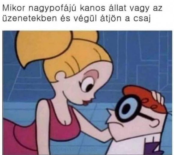 Most mutasd meg kishaver!