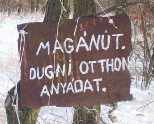 Kedves ember lehet, aki kiírta