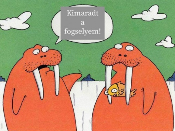 Pénteki zsibbasztó