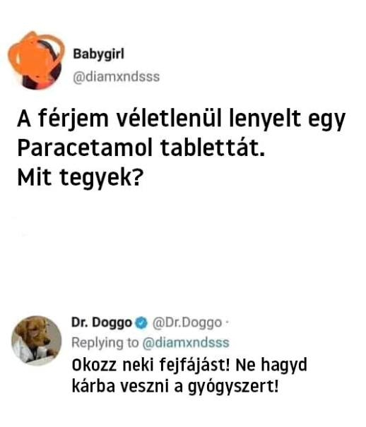 Született feleségek rovatunkat olvassátok