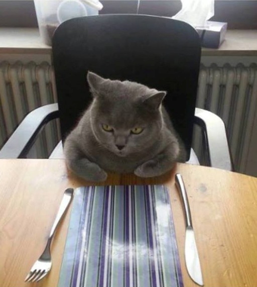 Amikor már hívnak reggelizni, de még sehol semmi