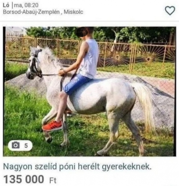 Szösszenet Borsodból