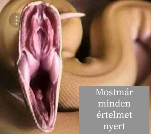 Ez egy kígyó szája :P