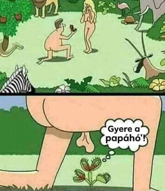 A lánykérésnek is vannak veszélyei