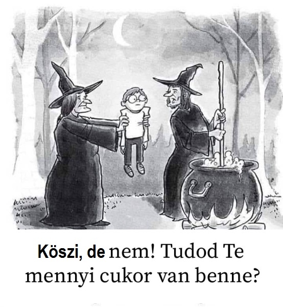 Fontos az egészséges táplálkozás