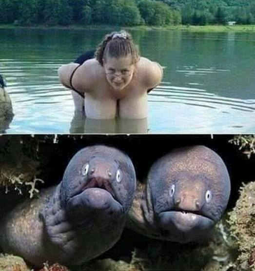 Szerintem azért a csajszi is meglepődne, ha...