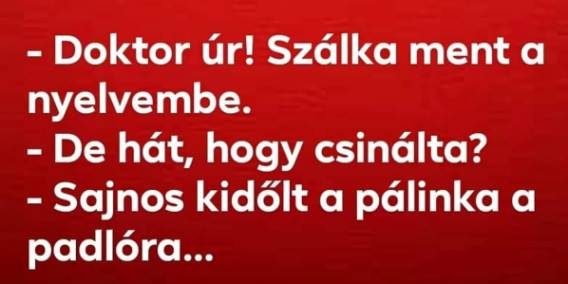 Nem akarta, hogy kárba vesszen