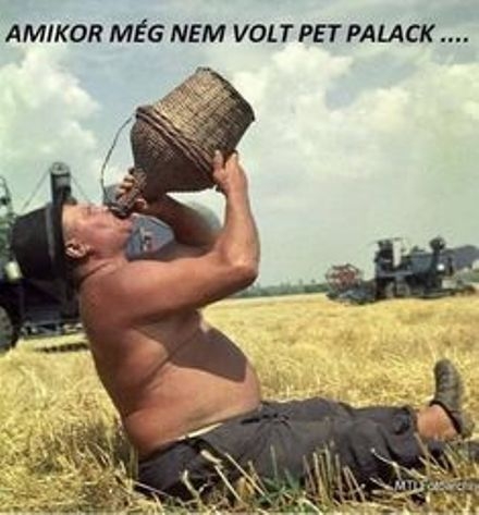 Környezetvédelem felsőfokon