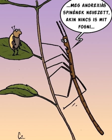 Panaszkodik a botsáska