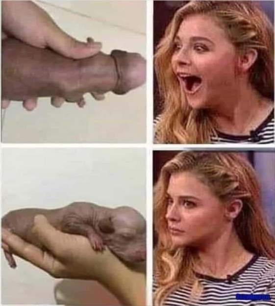 Hétköznapi csalódások