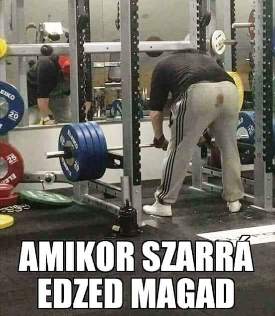 Becsúszott a barna maci?