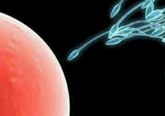 Az első gyorshajtásos fotóm