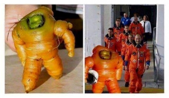 Íme a sárgarépa, aki űrhajós akart lenni