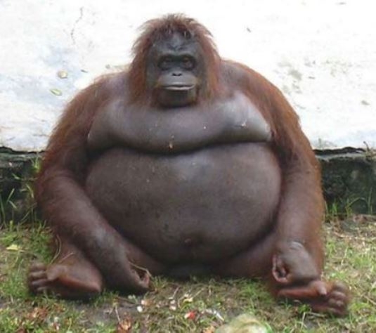 Amikor 2 hétre vettél kaját, de egy nap alatt megetted