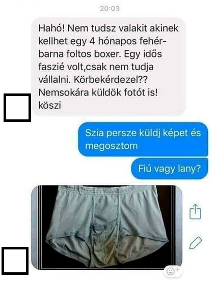 Napi hülye